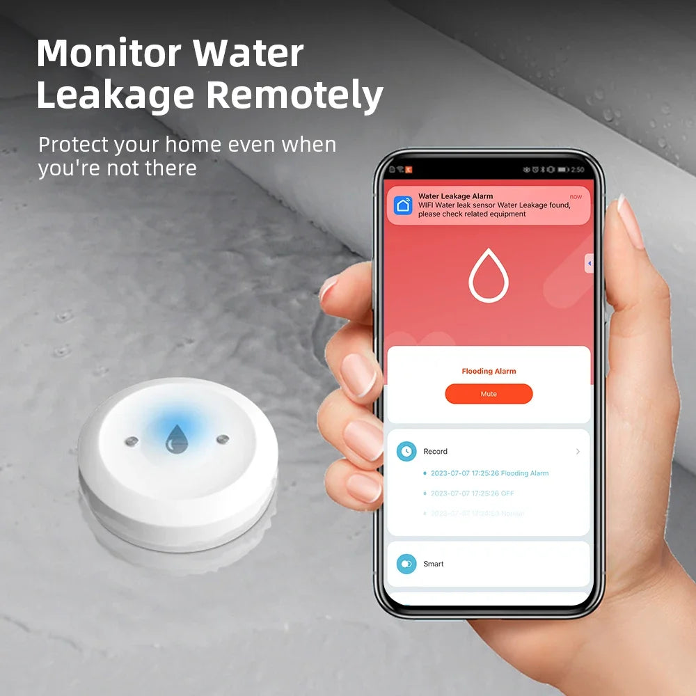 Zigbee Smart Water Leak Sensor | Mes
