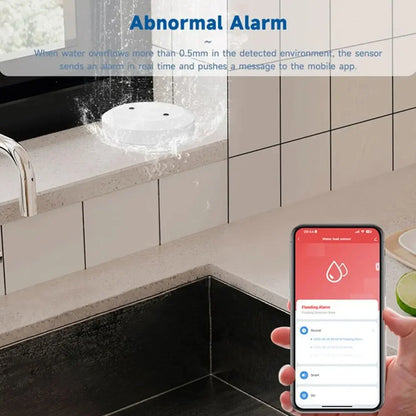 Zigbee Smart Water Leak Sensor | Mes
